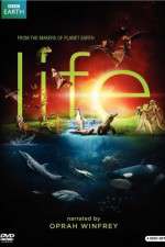 Watch Life Primewire