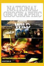 Watch Destination Wild: Colombia Primewire