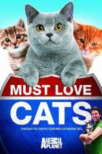 Watch Must Love Cats Primewire