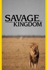 Watch Savage Kingdom Primewire