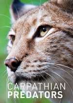 Watch Carpathian Predators Primewire