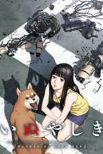Watch Inuyashiki Primewire