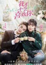 Watch Falling for You Primewire