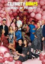 Watch Celebrity Bumps: Famous & Pregnant Primewire