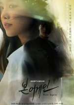 Watch Born Again Primewire