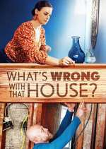 Watch What's Wrong With That House? Primewire