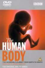 Watch The Human Body Primewire