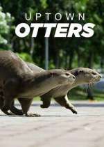 Watch Uptown Otters Primewire