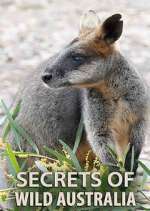 Watch Secrets of Wild Australia Primewire