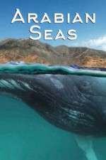 Watch Arabian Seas Primewire