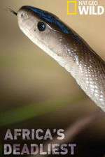 Watch Africas Deadliest Primewire