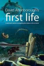 Watch David Attenborough's First Life Primewire