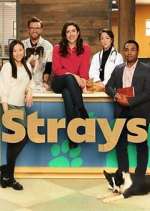 Watch Strays Primewire