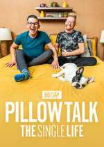 Watch 90 Day Pillow Talk: The Single Life Primewire