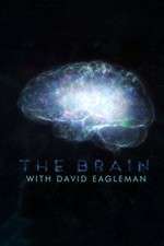 Watch The Brain with Dr David Eagleman Primewire