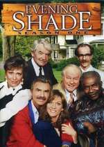 Watch Evening Shade Primewire
