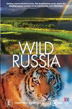 Watch Wild Russia Primewire